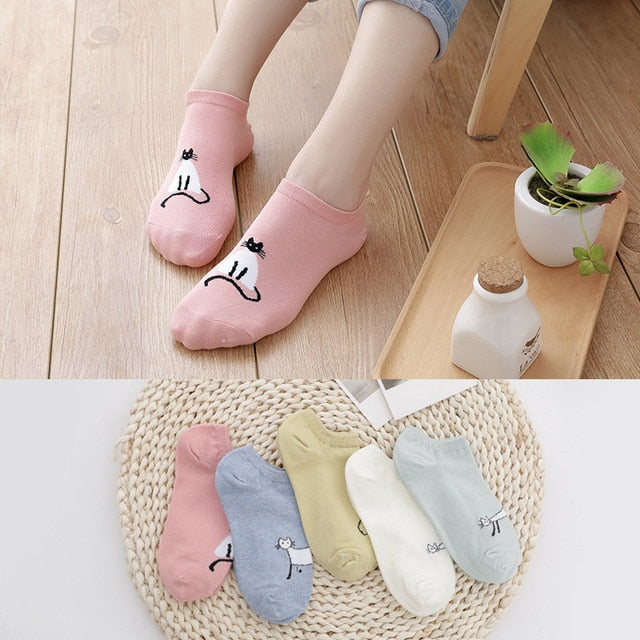 Socks - 5 pairs - Various Styles and Designs