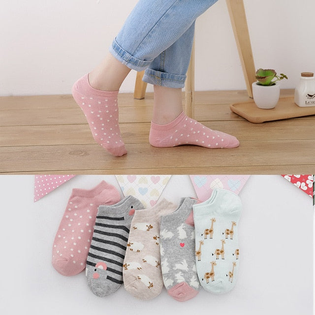 Socks - 5 pairs - Various Styles and Designs