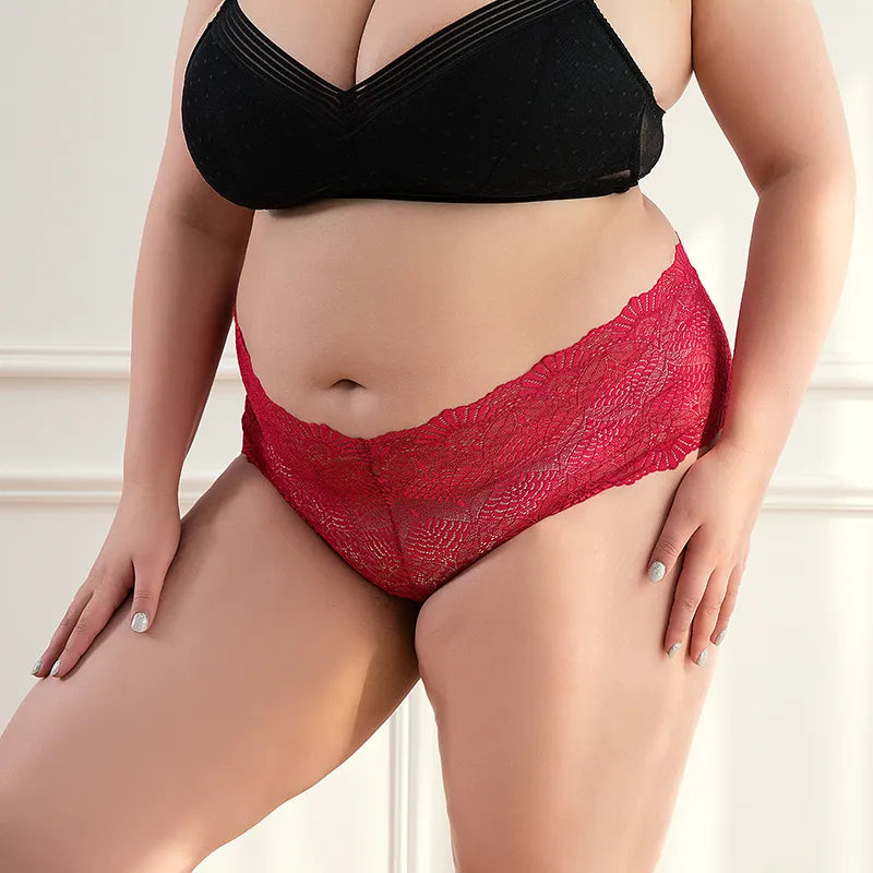 ADD - 3 pairs of Women's Lace High Waist Briefs