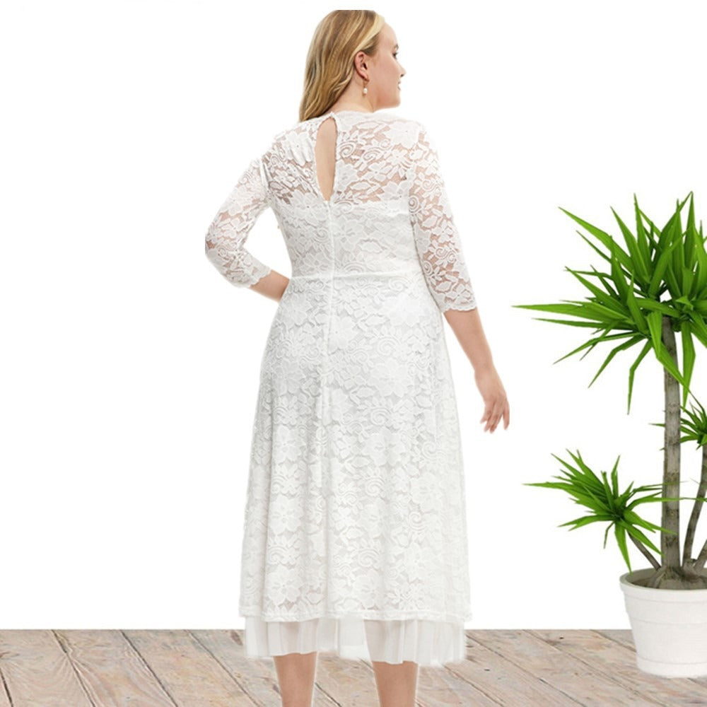 Women's Dress Lace Detail - Plus Size - Various Colours