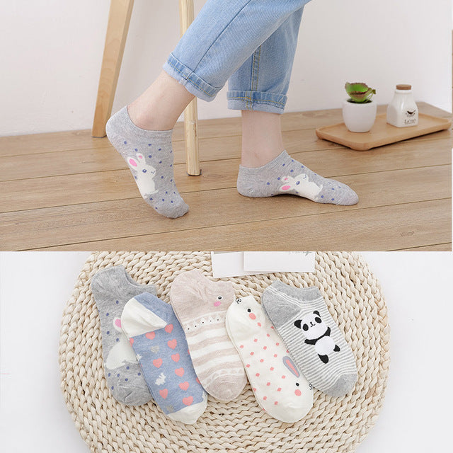 Socks - 5 pairs - Various Styles and Designs