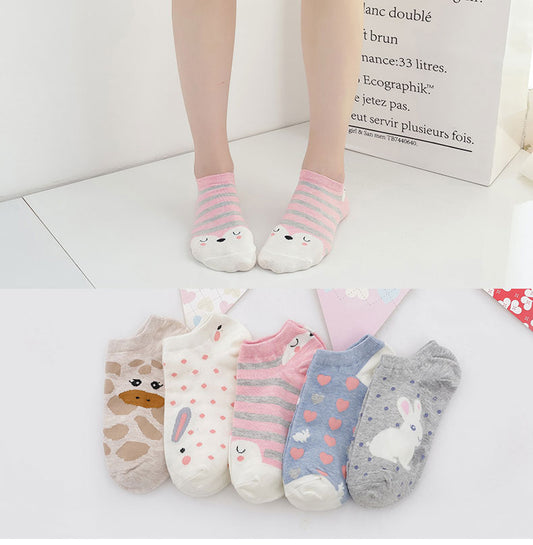 Socks - 5 pairs - Various Styles and Designs