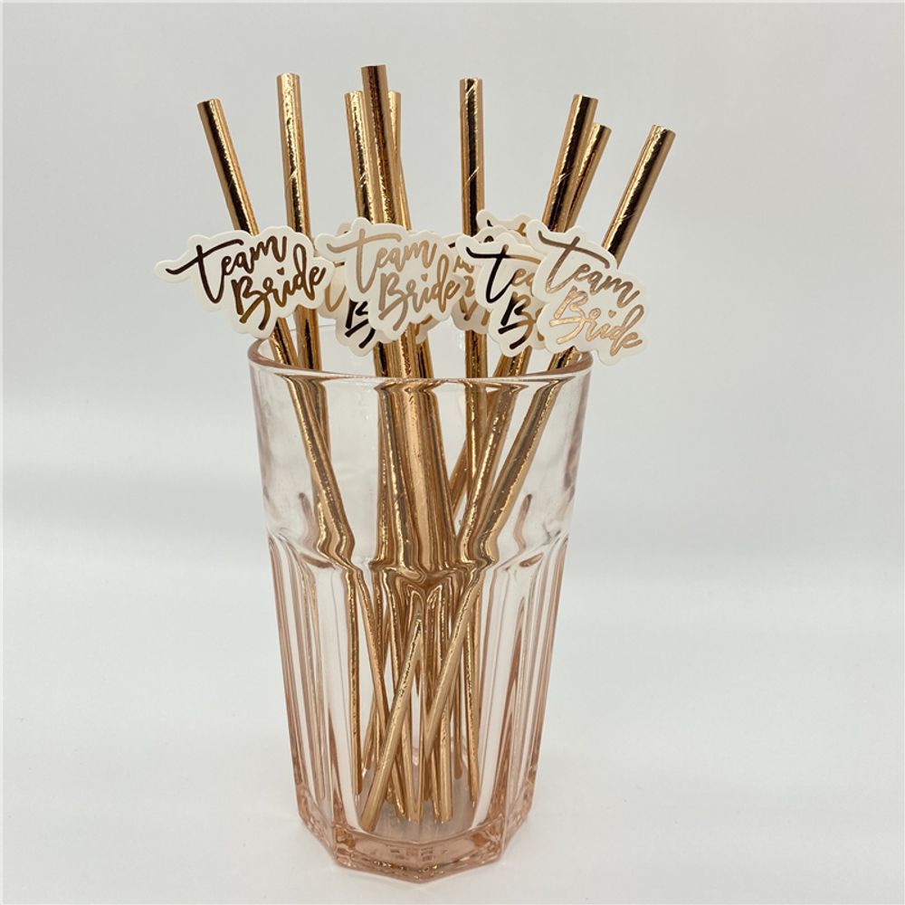 10Pcs Rose Gold Team Bride Straws Hen Party Bachelorette Wedding Party Decoration Supplies