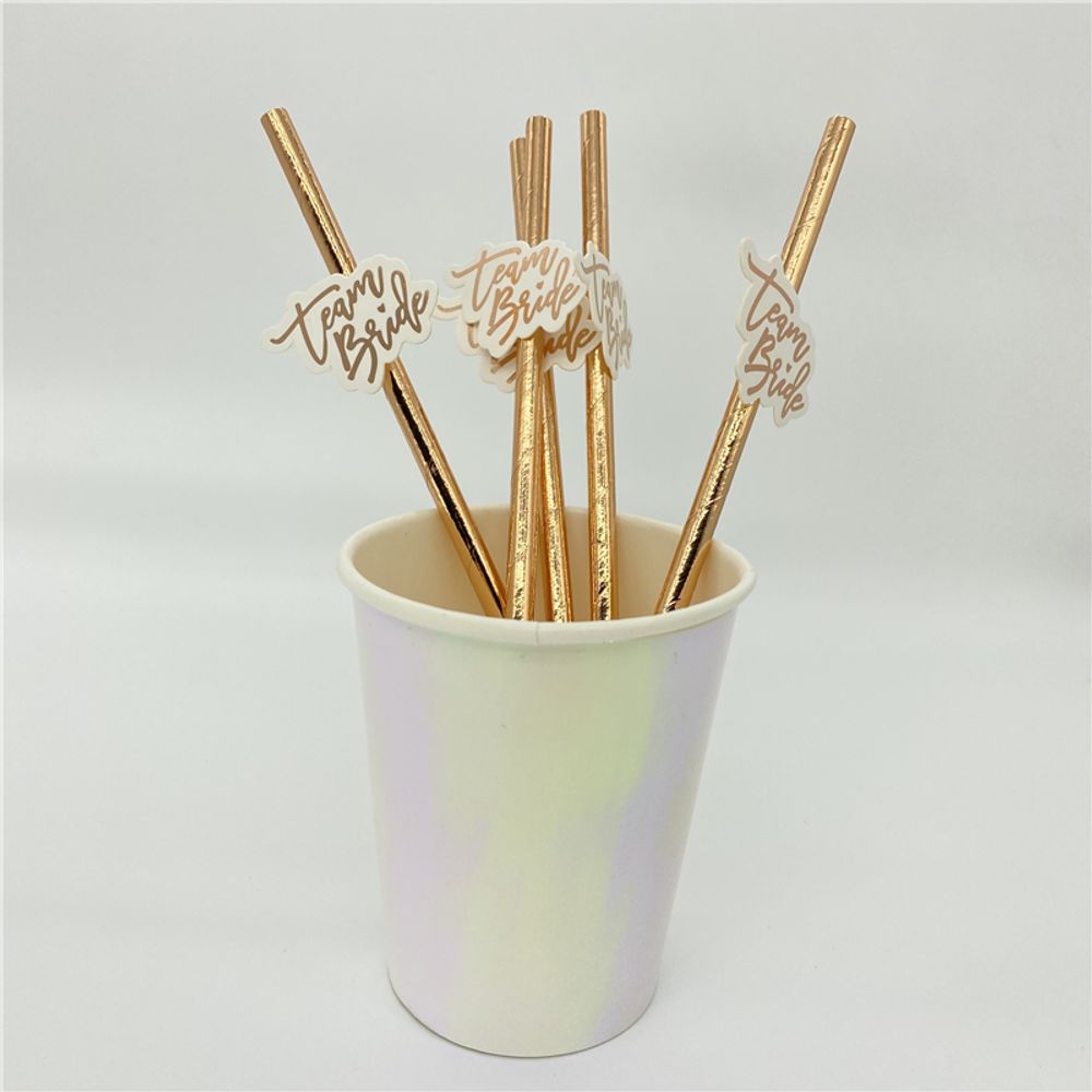 10Pcs Rose Gold Team Bride Straws Hen Party Bachelorette Wedding Party Decoration Supplies