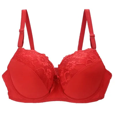 INT2908 - Women's Bra - various colours -  34/75 36/80 38/85 40/90 42/95 44/100 BCDE Lace Bra